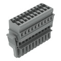 Connecteur femelle 1c, 10 pôles / avec cliquet de verrouillage