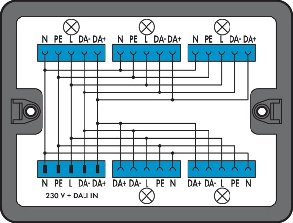 Boîte de distribution distribution dali, noir - Wago - 899631/313000