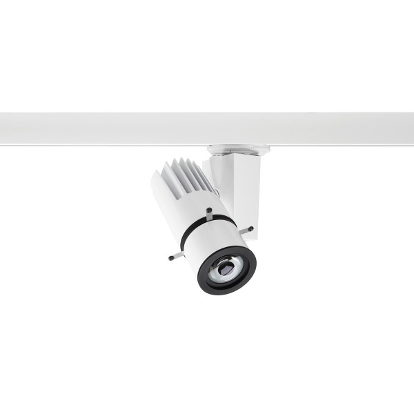 Beacon muse fram. 3k bla l3 o/b