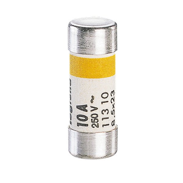 Lot De 10 Fusibles Céramiques Cylindriques 32A 500V - Dimensions 10x38 Mm - Type GG - Pour Four, Micro-ondes, Circuits électriques