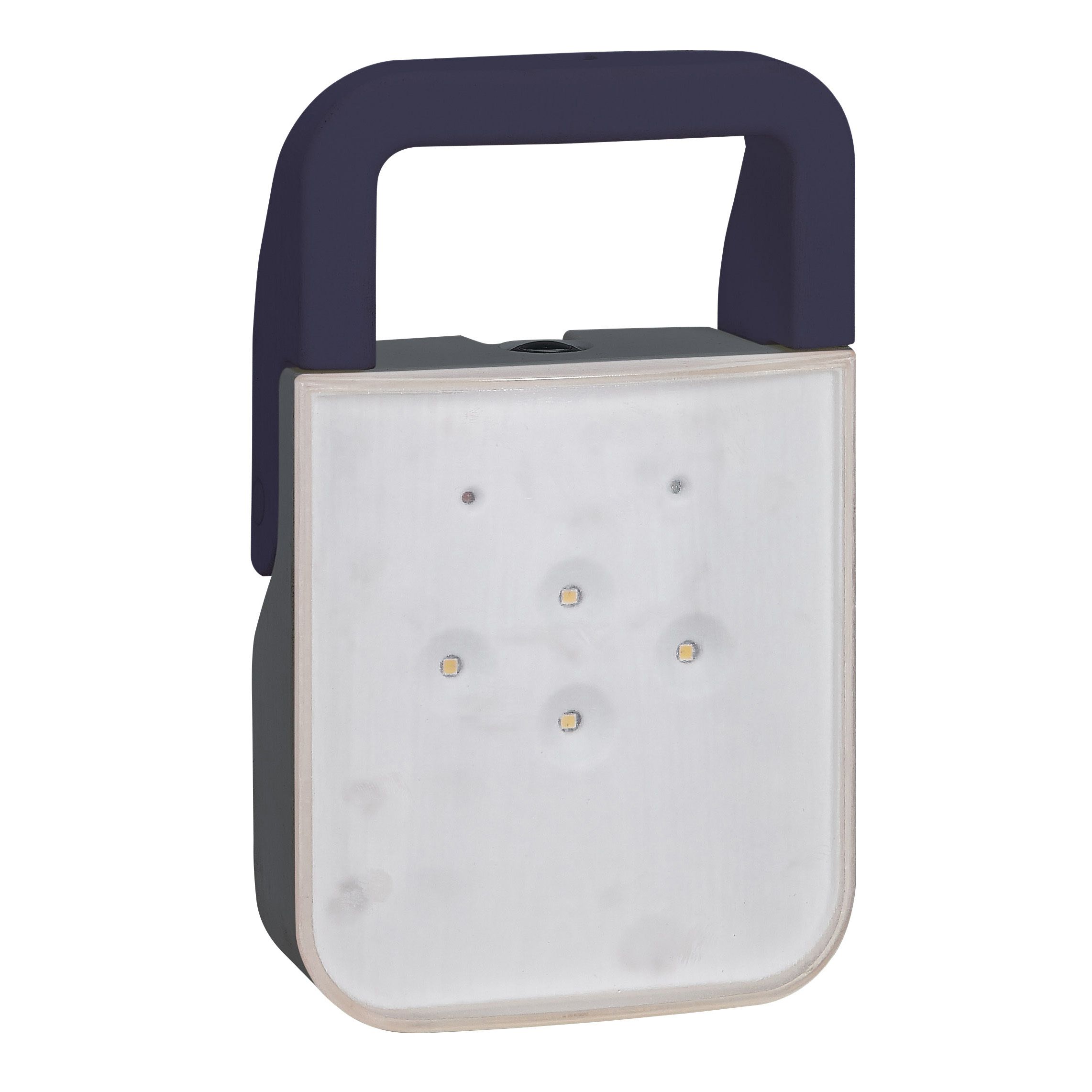 060894 Lampe Bapi à LEDs 100 Lumens IP55 IK08 1.8W - Legrand