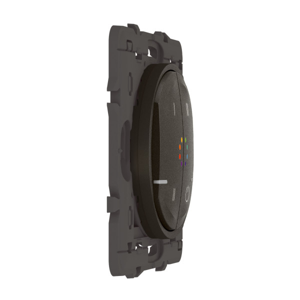 Commande sans fil Céliane With Netatmo Zigbee multicouleurs graphite