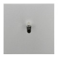 Va-et-vient acier satin Legrand Art d'Arnould univers Epure