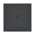 Va-et-vient ou interrupteur lumineux noir mat Legrand Art d'Arnould univers Epure 