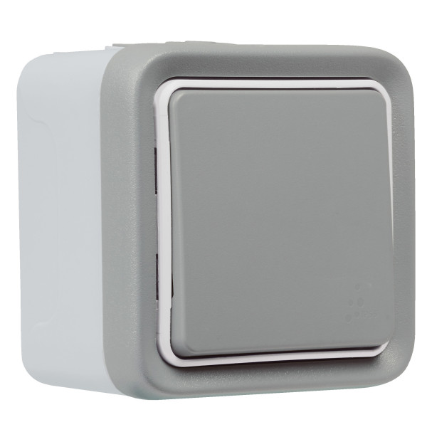 Commande sans fil étanche Plexo With Netatmo - Montage saillie gris