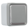 Commande sans fil étanche Plexo With Netatmo - Montage saillie gris