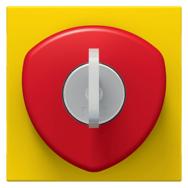 Bouton poussoir coup de poing arrêt d'urgence Legrand Mosaic - à clé - 10 A - 2 mod