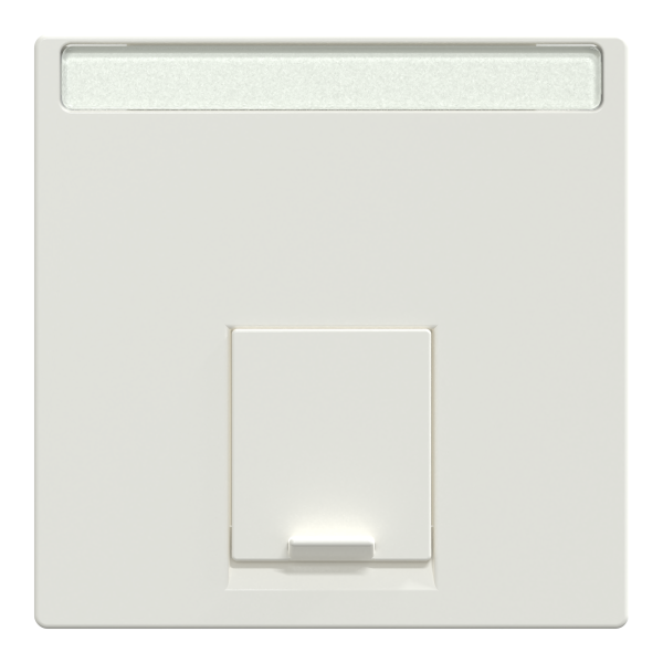 System m - enjoliveur rj45 central - ip20 - blanc polaire