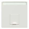 System m - enjoliveur rj45 central - ip20 - blanc polaire