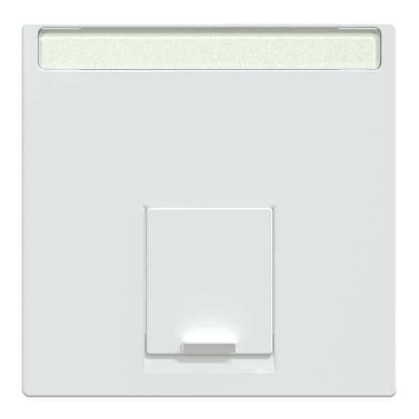 System m - enjoliveur rj45 simple - antimicrobien
