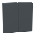 D-life - enjoliveur pour commande double sans marquage - anthracite