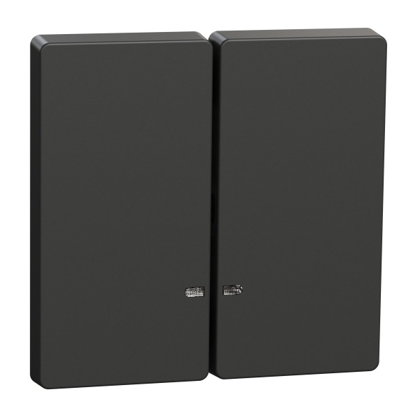 D-life - enjoliveur pour commande double avec voyant - anthracite