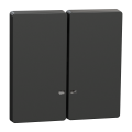 D-life - enjoliveur pour commande double avec voyant - anthracite