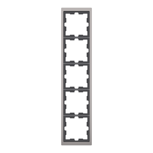 D-life - cadre de finition - métal - nickel - 5 postes