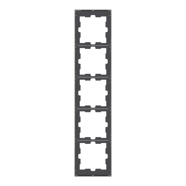 D-life - cadre de finition - métal - nickel - 5 postes