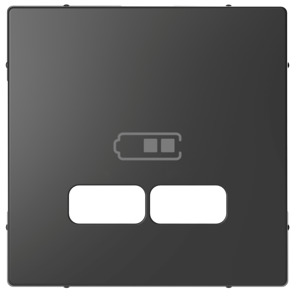 D-life - enjoliveur pour prise usb - anthracite