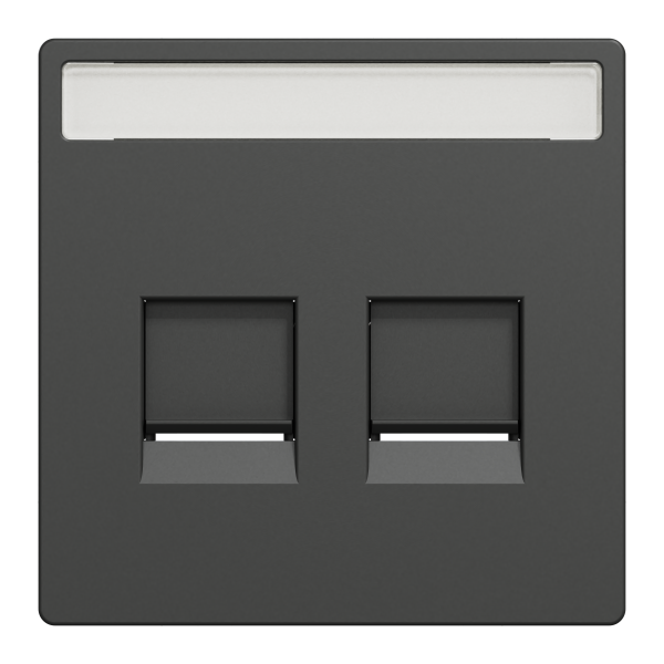D-life - enjoliveur prise support double rj45 compatible keystone - anthracite