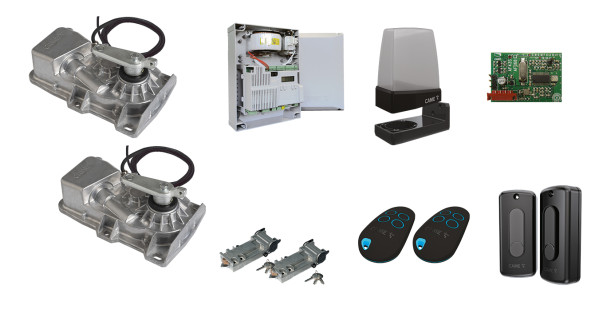 Came automatisme battants kit enterre kit frog-x