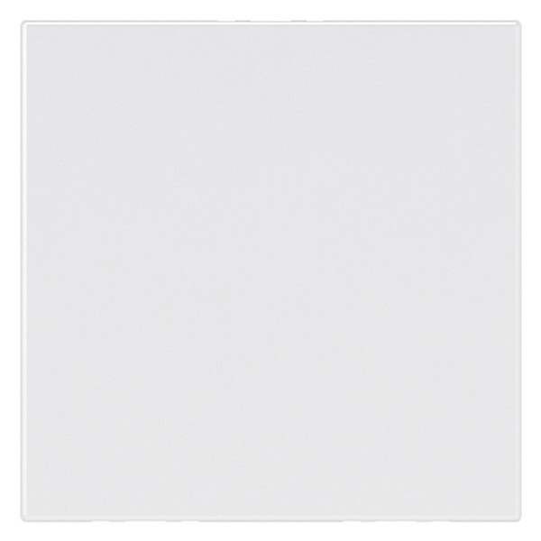 Obturateur 2 modules blanc Mosaic Legrand EU (NF LEG077071)