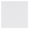Obturateur 2 modules blanc Mosaic Legrand EU (NF LEG077071)