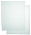 Lot de 2 filtres g3  pour double flux autogyre