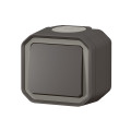 Plexo commande simple réversible va-et-vient ou poussoir - anthracite - saillie
