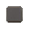 Commande simple réversible plexo va-et-vient ou poussoir - anthracite