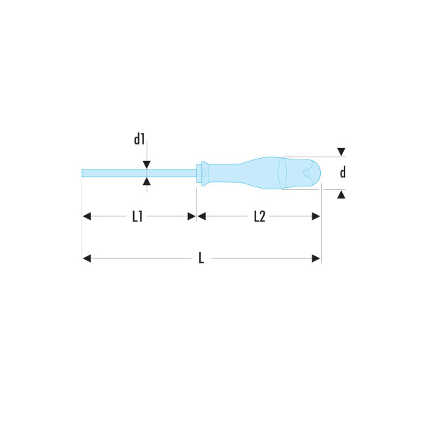 Tournevis protwist® pour vis resistorx®, 10 x 75 mm