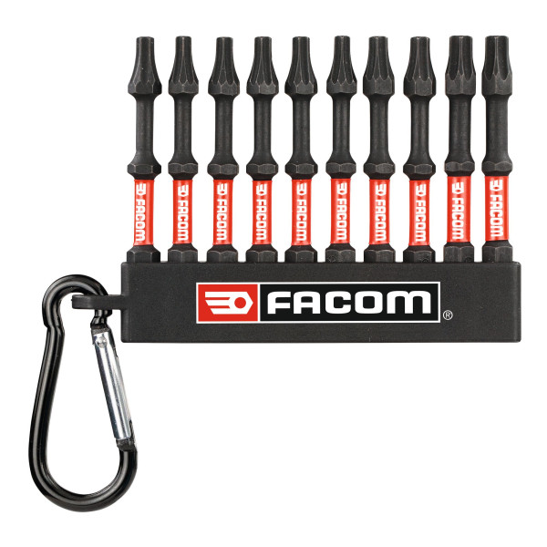 10 embouts torx© - t20 x 6, t25 x 4