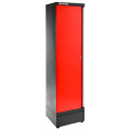 Armoire 1 porte pleine, 3 étagères, l 533 x p 506 x h 2060 mm, rouge