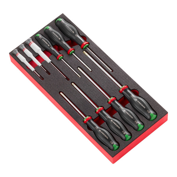Module mousse 10 tournevis protwist®