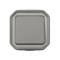 Interrupteur ou va-et-vient plexo complet saillie - gris
