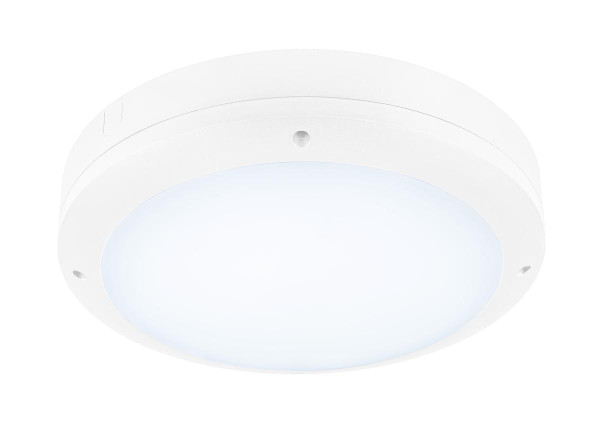 Outdoor bulkhead v 360, 20w 830/840 ip65 ik10 blanc