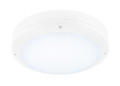 Outdoor bulkhead v 360, 20w 830/840 ip65 ik10 blanc