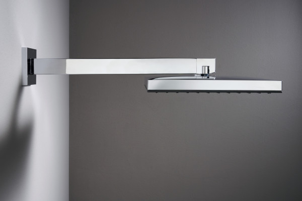 Douche de tête 260 1jet ecosmart