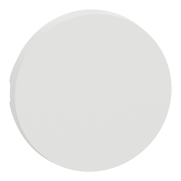 Odace - enjoliveur seul - pour va-et-vient ou poussoir - blanc craie