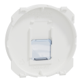 Odace - enjoliveur seul - pour prise rj45 - blanc craie