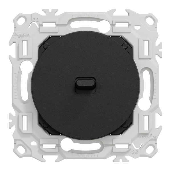 Odace - va-et-vient ou poussoir à levier - 10ax - noir onyx