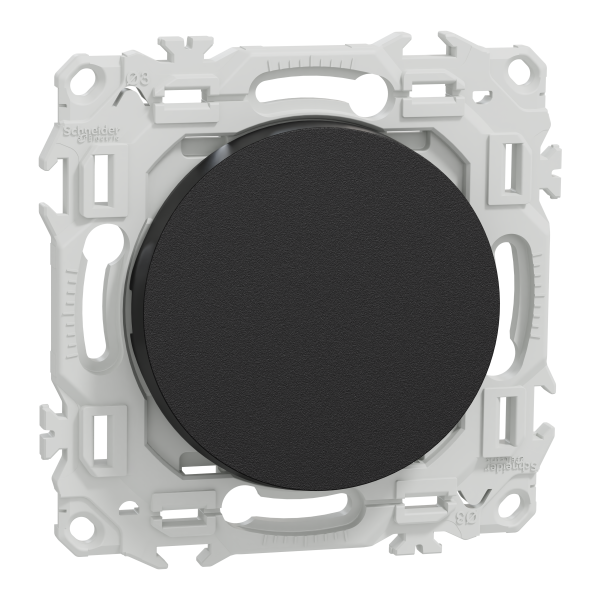 Odace - va-et-vient ou poussoir - 10ax - noir onyx