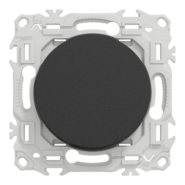 Odace - va-et-vient ou poussoir - 10ax - noir onyx