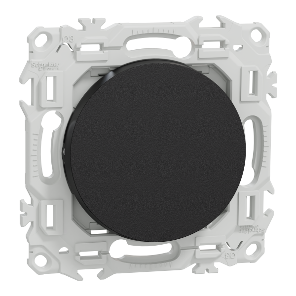Odace - permutateur - bornes automatiques - 10ax - noir onyx