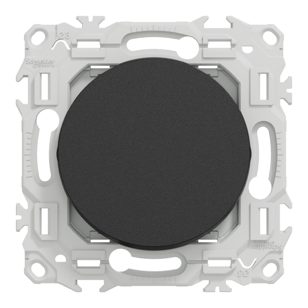 Odace - permutateur - bornes automatiques - 10ax - noir onyx