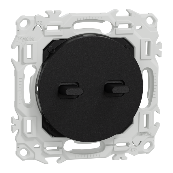 Odace - double va-et-vient ou poussoir à levier - 10ax - noir onyx