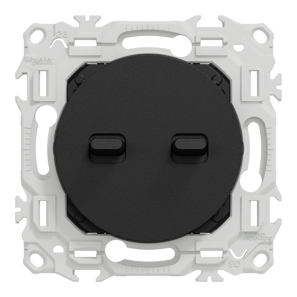 Odace - double va-et-vient ou poussoir à levier - 10ax - noir onyx