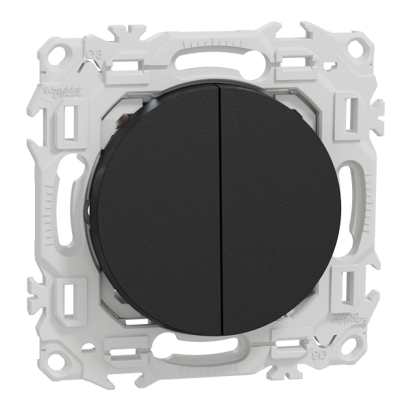 Odace - double va-et-vient ou poussoir - 10ax - noir onyx