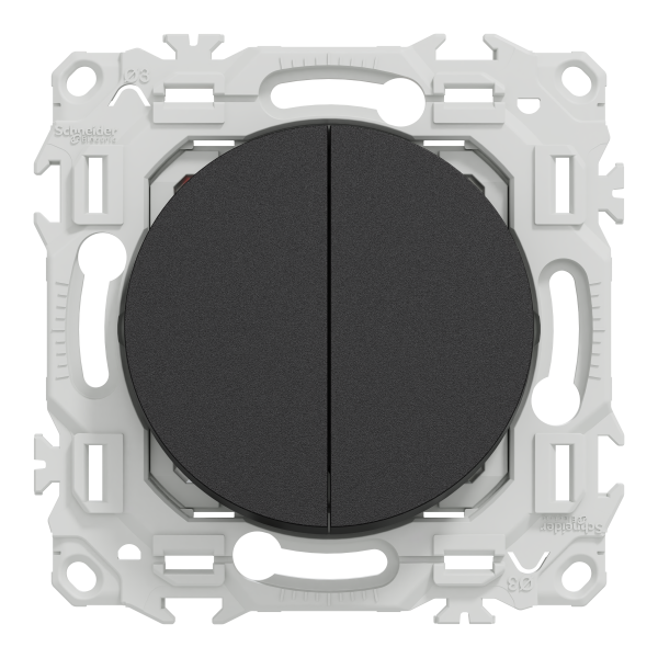 Odace - double va-et-vient ou poussoir - 10ax - noir onyx