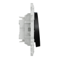 Odace - double va-et-vient ou poussoir - 10ax - noir onyx