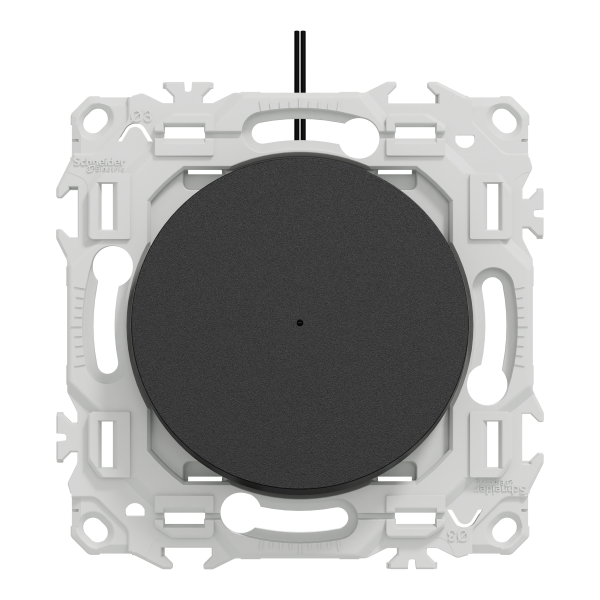 Odace - va-et-vient ou poussoir lumineux led verte 0,15ma - 10ax - noir onyx