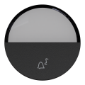 Odace - enjoliveur seul - pour bouton poussoir - porte-étiquette - noir onyx