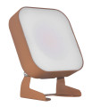 Zodiak 2 proj. ext. ip66 ik08 corten angle 100° 3-cct 7-14-20w jusqu'à 2200lm - Aric - 51799